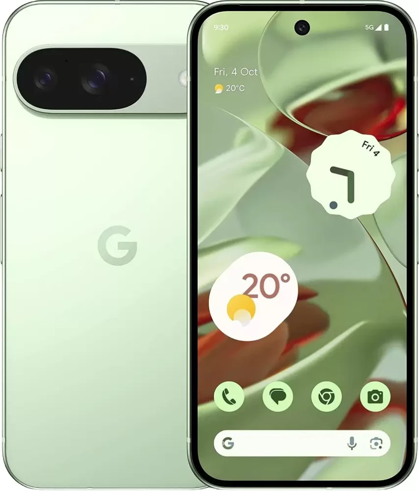 Google Pixel 9 12GB/128GB (винтергрин)