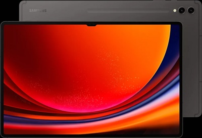 Samsung Galaxy Tab S9 Ultra 5G SM-X916 12GB/512GB (графитовый)
